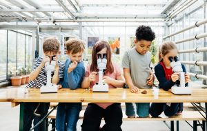 آموزش و STEM: اخبار ، ویژگی ها و مقالات آموزش و STEM: اخبار ، ویژگی ها و مقالات